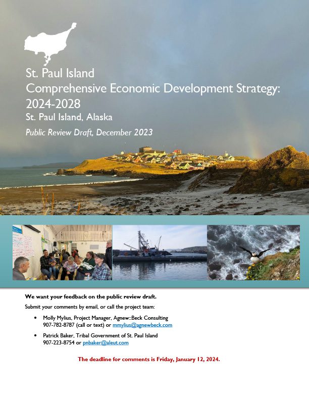 St. Paul Comprehensive Economic Development Strategy (CEDS) 20242028